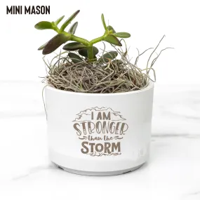 Be Stronger than the Storm Desk Plant