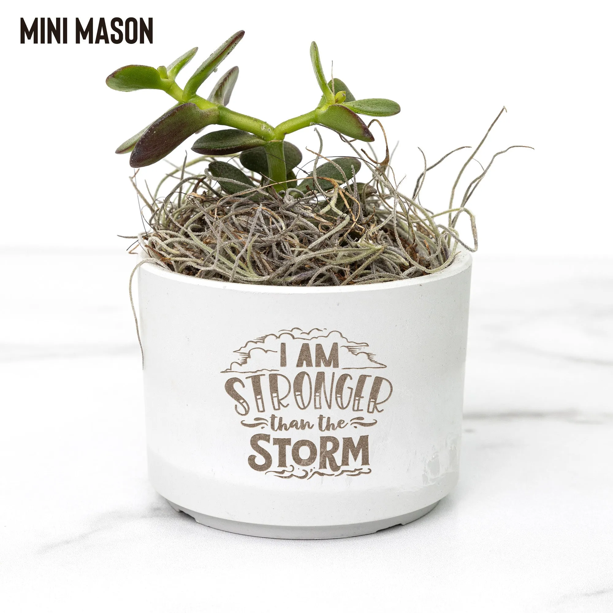 Be Stronger than the Storm Desk Plant