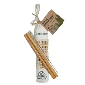 Natural Bamboo Straws Set